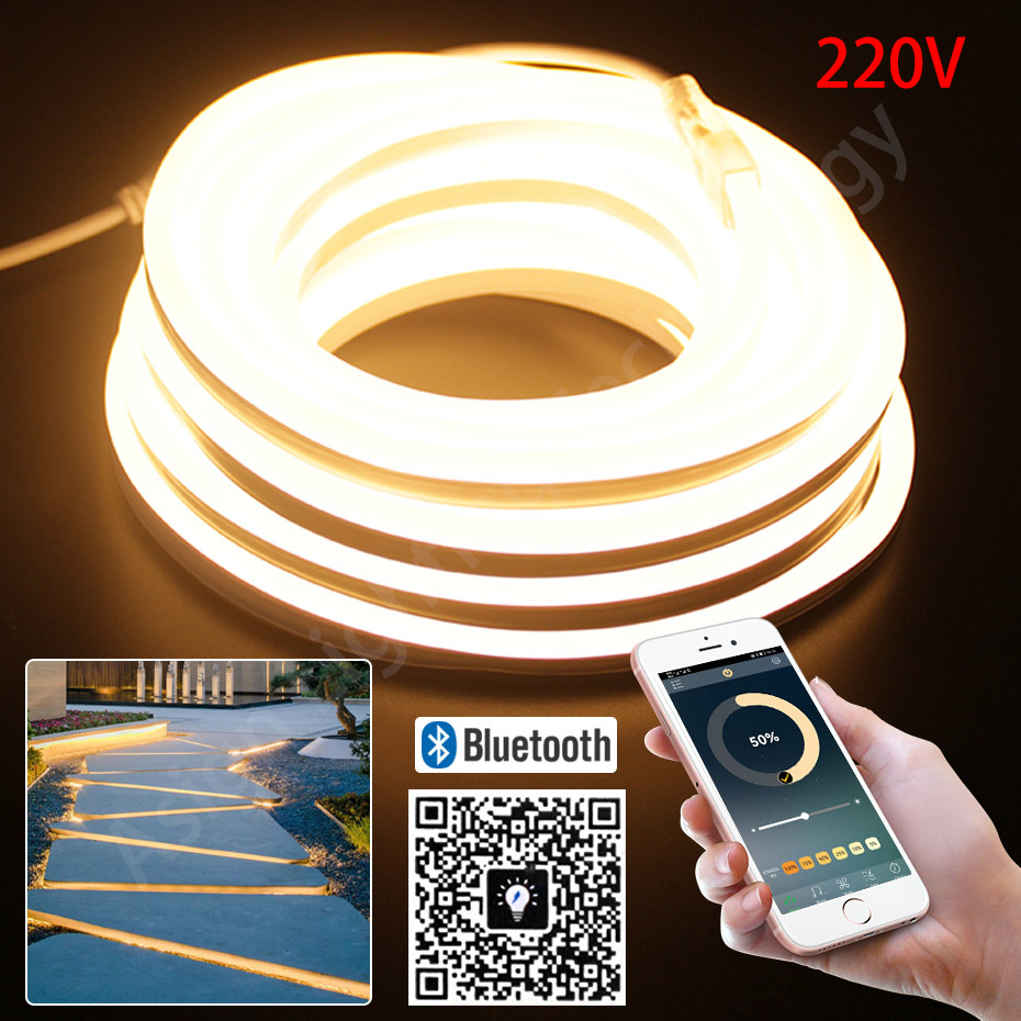 Outdoor Lighting Timer Switch - LED 네온 스트립 220V 2835 120