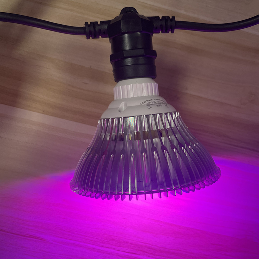 10M 케이블 LED 스트링 조명, 상업용 등급 방수, - Outdoor Lighting Sconce 리뷰 및 가격
