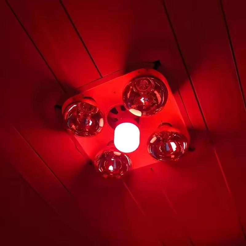 새로운 고출력 레드 LED 전구 E27/B22 220V - Outdoor Lighting Solar 리뷰 및 가격